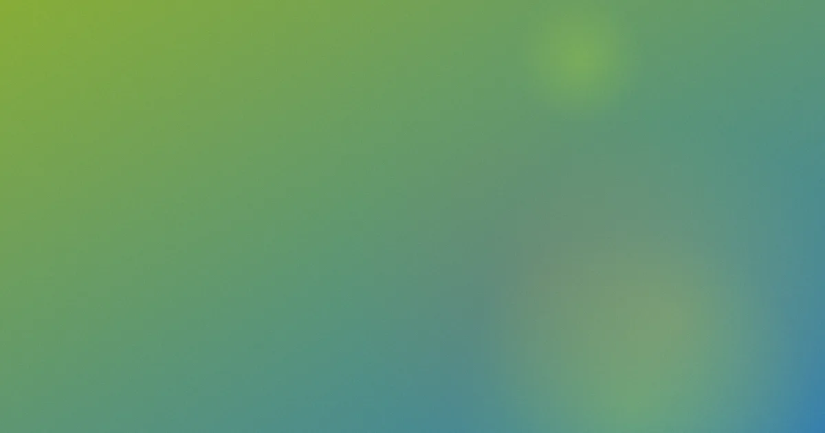 龙舟比赛视频是什么